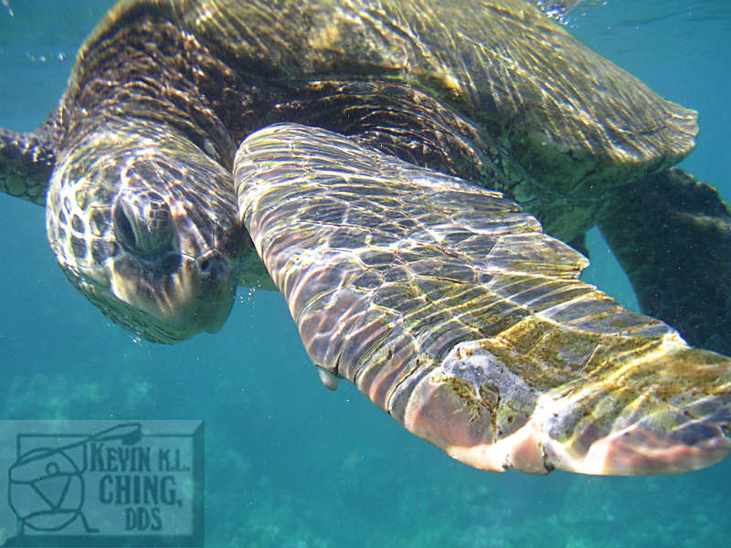 Photo by Kevin Ching